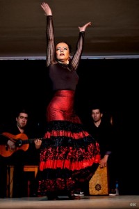 Angela Fonseca apresenta um show de flamenco (Divulgação)