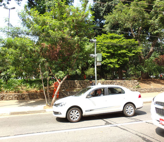 Retirada de grade da praça  surpreende líder comunitária