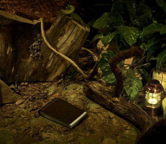 Escape Hotel, aqui você é o Sherlock!