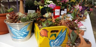 Um novo Bazar Orquídeas na Vila acontece dia 16 de julho