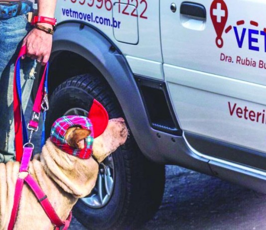 Anti estresse animal